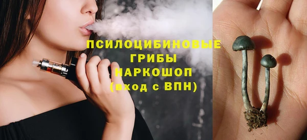 спиды Алексин