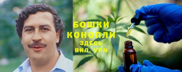 ГАЛЛЮЦИНОГЕННЫЕ ГРИБЫ Алзамай