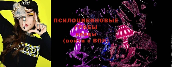 спиды Алексин