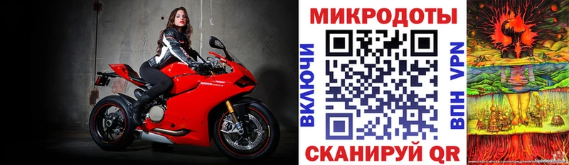 Псилоцибиновые грибы Psilocybine cubensis  Гурьевск 