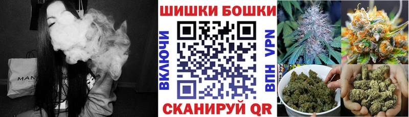 Шишки марихуана сатива  mega ссылка  Гурьевск  где купить наркоту 